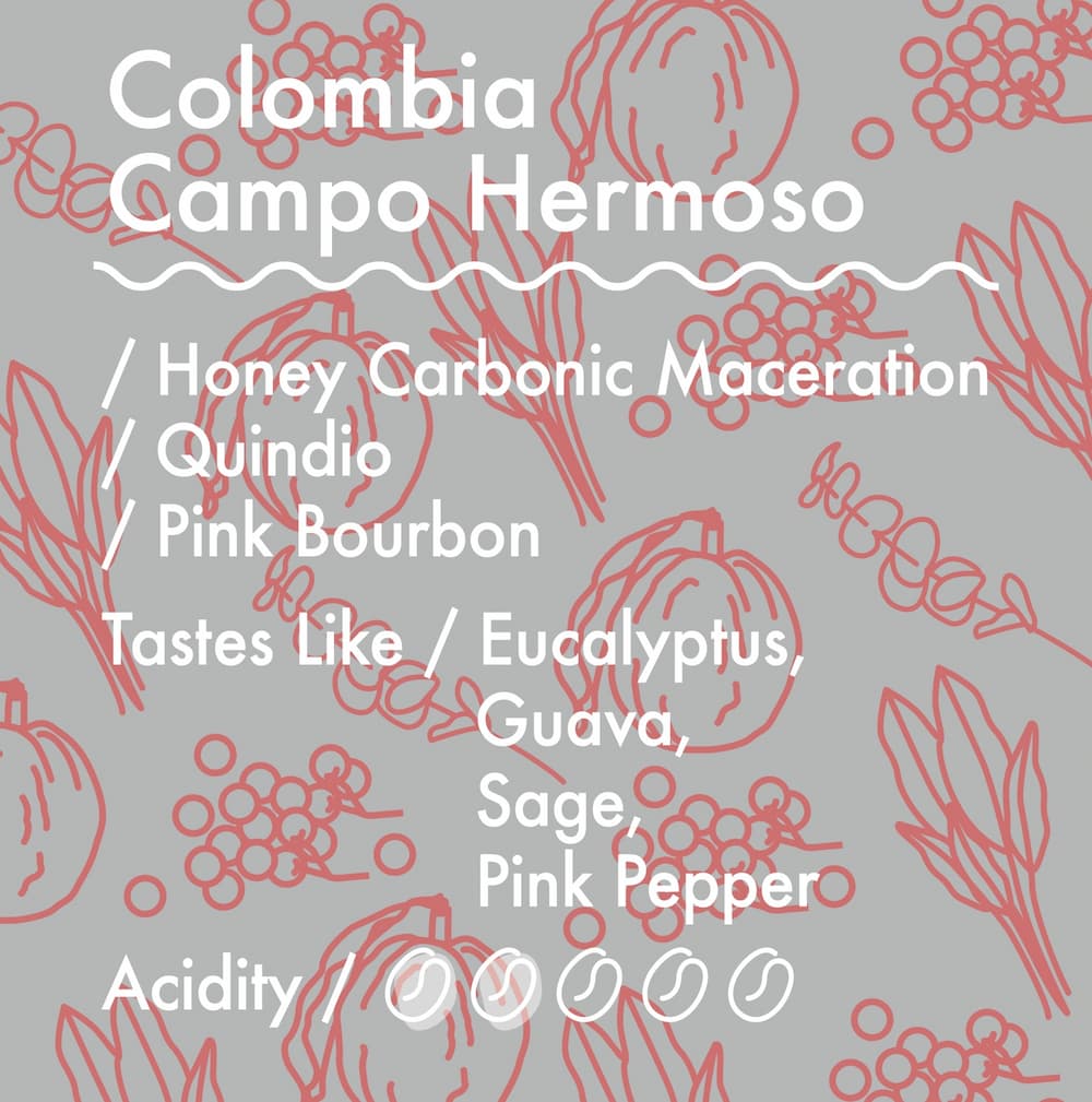 哥倫比亞 幻境莊園 粉紅波旁 二氧化碳浸漬蜜處理